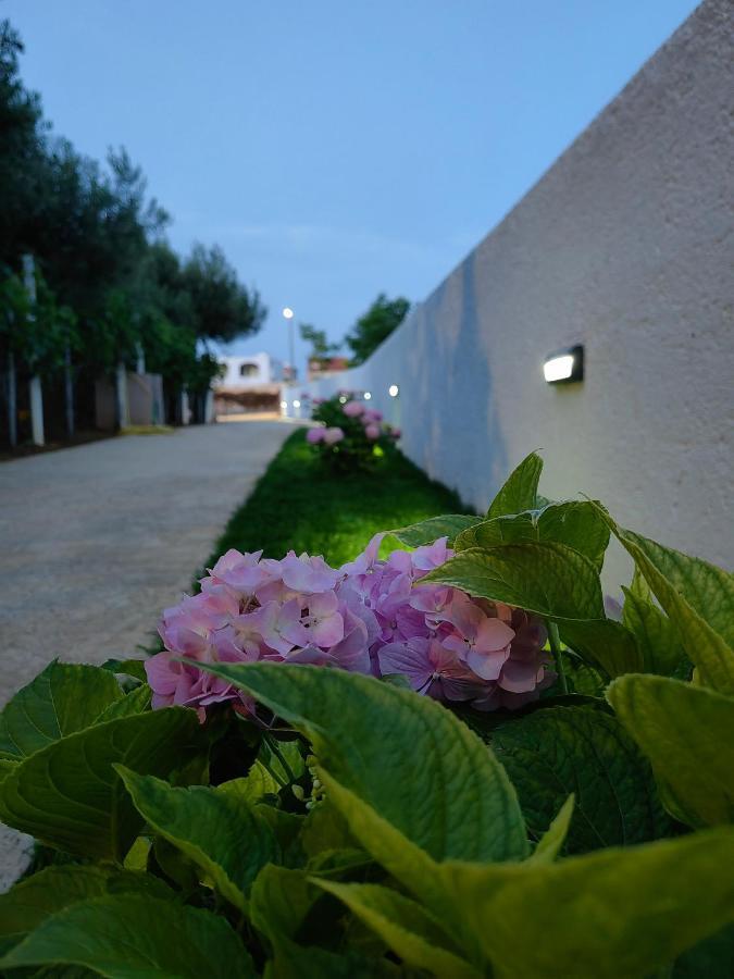 Apartment White Pearl Razanac Exterior photo